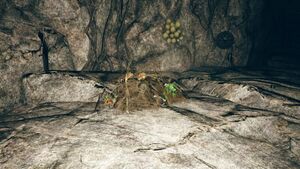 FO76 Décharge abandonnée 08.jpg