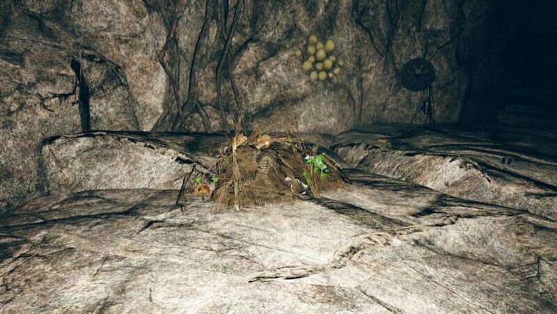 Fichier:FO76 Décharge abandonnée 08.jpg