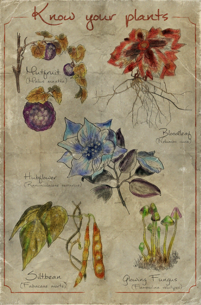 Fichier:FO76 Flora poster.png