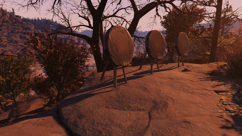 Fichier:FO76 Gotta shoot em in the.png