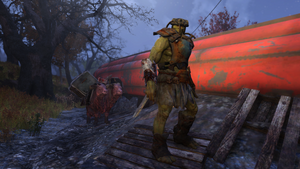 FO76 Grahm and Chally in Forest.png