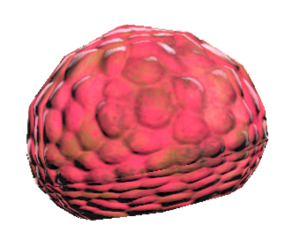 FO76 Graines d'arum titan.png