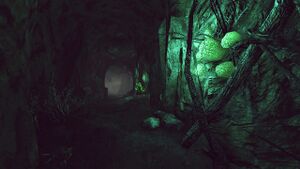 FO76 Grotte du wendigo 03.jpg