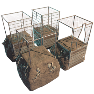 FO76 Kit de planteuse de terre fertile.png
