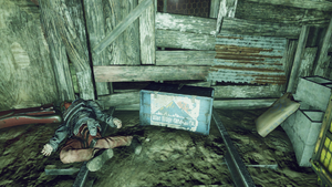 FO76 La place du mort, Matériel perdu 03.png