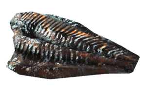 FO76 Lophius poché.png