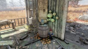 FO76 Mac's farm.jpg