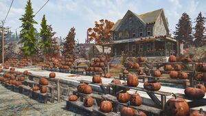 FO76 Maison de la Citrouille.jpg