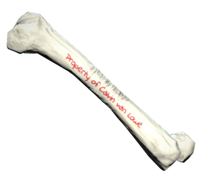 Fichier:FO76 Os étrange.png