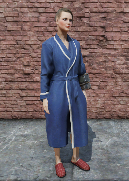 Fichier:FO76 Peignoir de bain.png