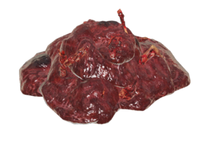 FO76 Pile o meat.png