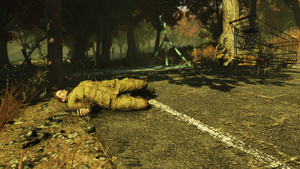 FO76 Private Miller 79.png