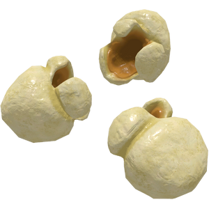 FO76 Prn.png