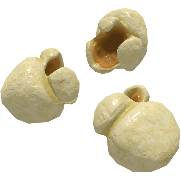Fichier:FO76 Prn.png