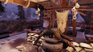 FO76 Prove your worth (location).png