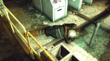 Emplacement de l'holobande.