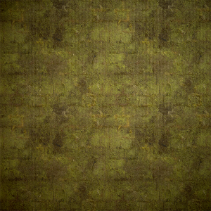 FO76 Sol et fondations en moquette verte moulée.png