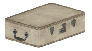 FO76 Suitcase beige.png