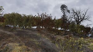 FO76 Vergers d'Orwell 02.jpg