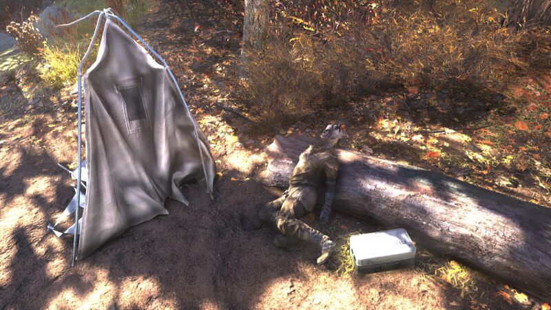 Fichier:FO76 emplacement Confession d'une toxicomane.jpg