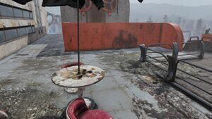 FO76 emplacement Habitants de Watoga.jpg