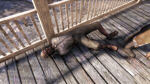 FO76 emplacement Histoire de survivants Colonel des Samaritains.jpg