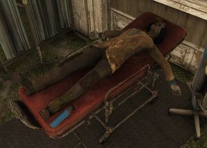 FO76 emplacement Histoire de survivants Dassa Ben-Ami.jpg