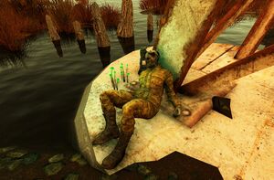 FO76 emplacement Holobande de Randy.jpg