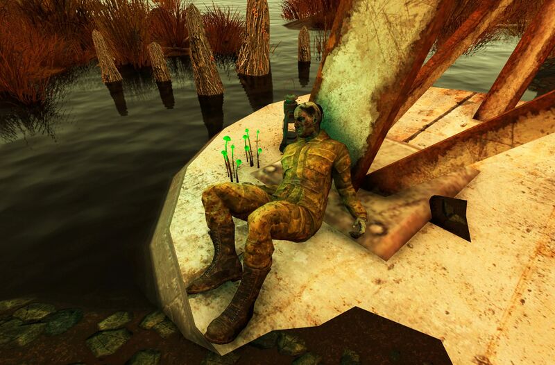 Fichier:FO76 emplacement Holobande de Randy.jpg
