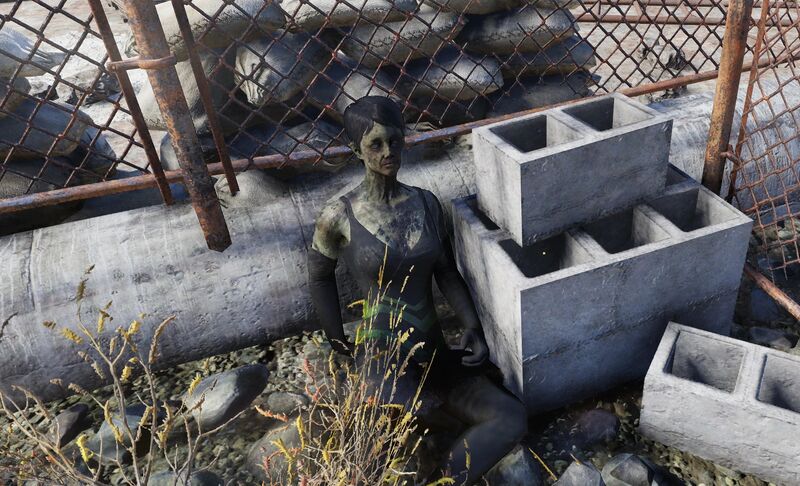 Fichier:FO76 emplacement Holobande endommagée.jpg