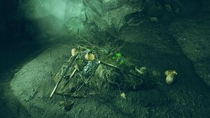FO76 emplacement Holobande pirate.jpg