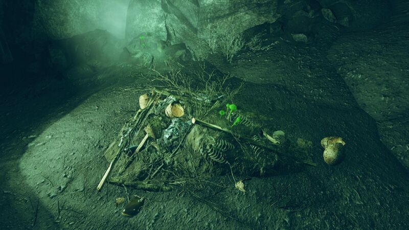 Fichier:FO76 emplacement Holobande pirate.jpg