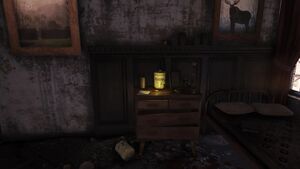 FO76 emplacement Intrus.jpg