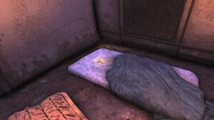 FO76 emplacement Je déteste Flatwoods.jpg