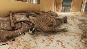 FO76 emplacement Joyeux anniversaire !.jpg