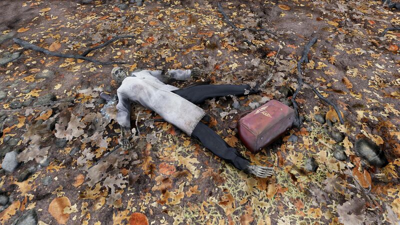 Fichier:FO76 emplacement Nous avons échoué.jpg