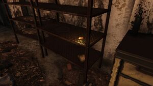 FO76 emplacement chapitre 7 (Manoir des Clancy).jpg