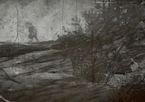FO76 photo d'observation.jpg
