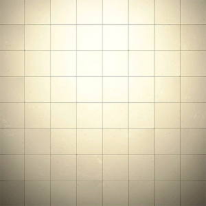 FO76 score s3 camp floor shelters vaulttile white.png