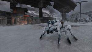 FOTFm Skitters.jpg