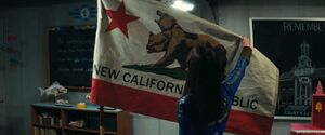 FOTVS1E6 Abri 4 drapeau RNC Lucy.jpg