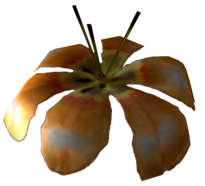 Fleur de broc.png
