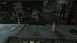 Fnv Cass Comptoir.jpg