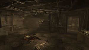 Fnv CratereDesMesquiteMountains Interieur.jpg