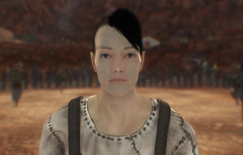 Fichier:Fnv Jerry le Punk.jpg
