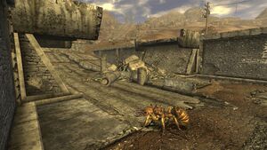 Fnv Trouverez-vous le courage.jpg