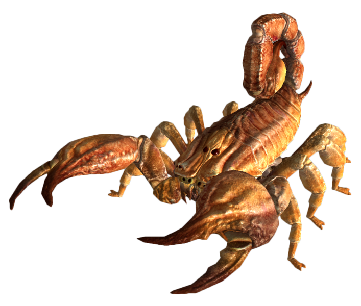 Fichier:Fnv bark scorpion.png