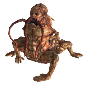 Fnv centaure evolue.png