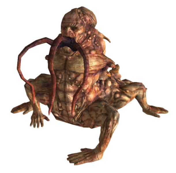 Fichier:Fnv centaure evolue.png