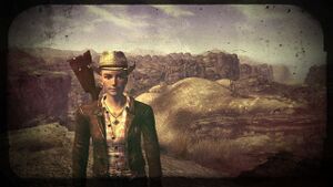 Fnv fin cass diapo 01.jpg